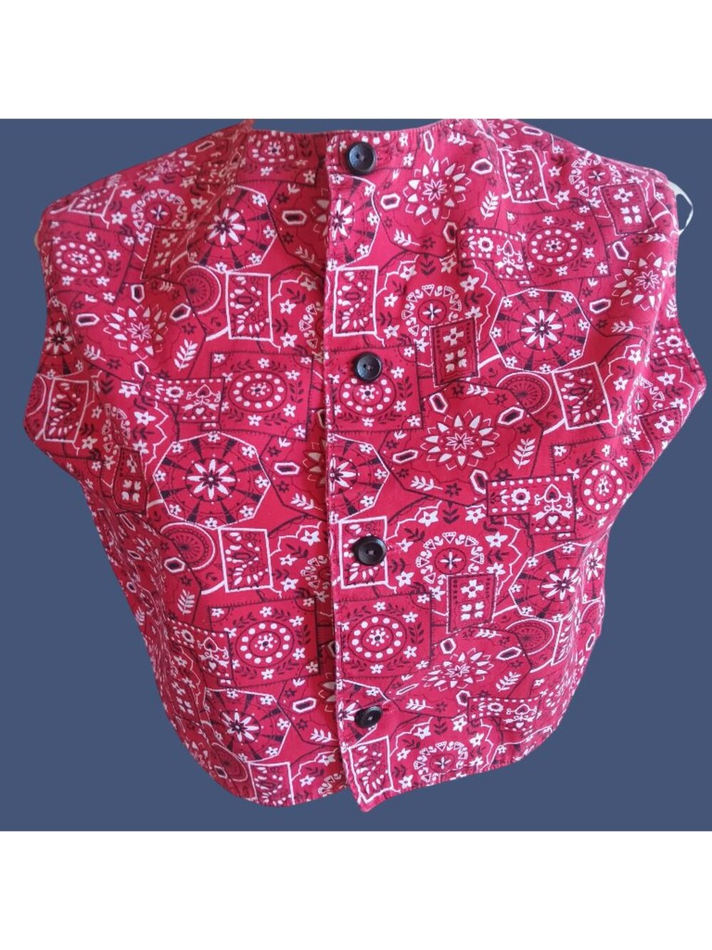 True Vintage Small Crop Top 1970's 1of1 Handmade Red Bandana Print Country Vest